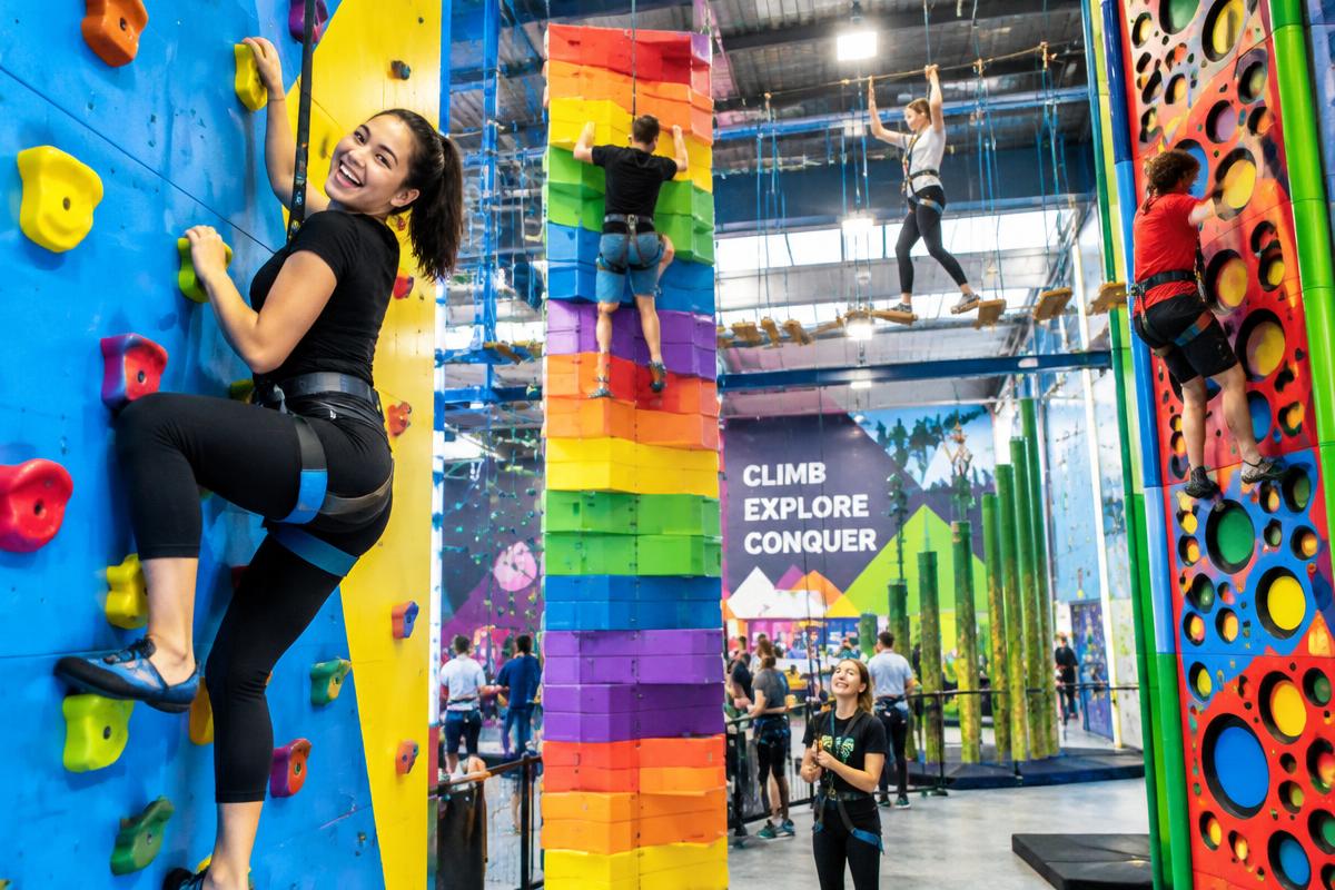 All-Day Climb + Ropes Course Pass